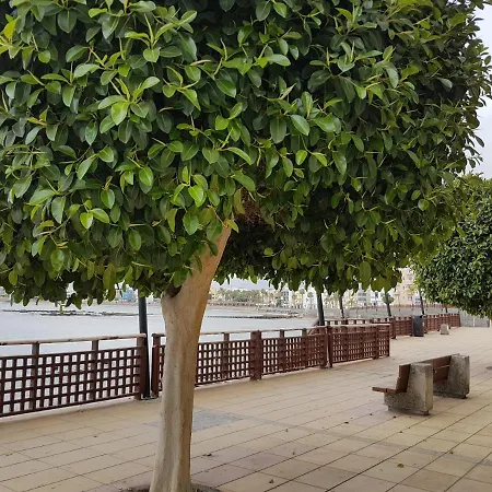 Canariasbrisamar - * Arinaga